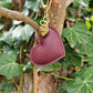 Burgundy Leather Heart Keyring