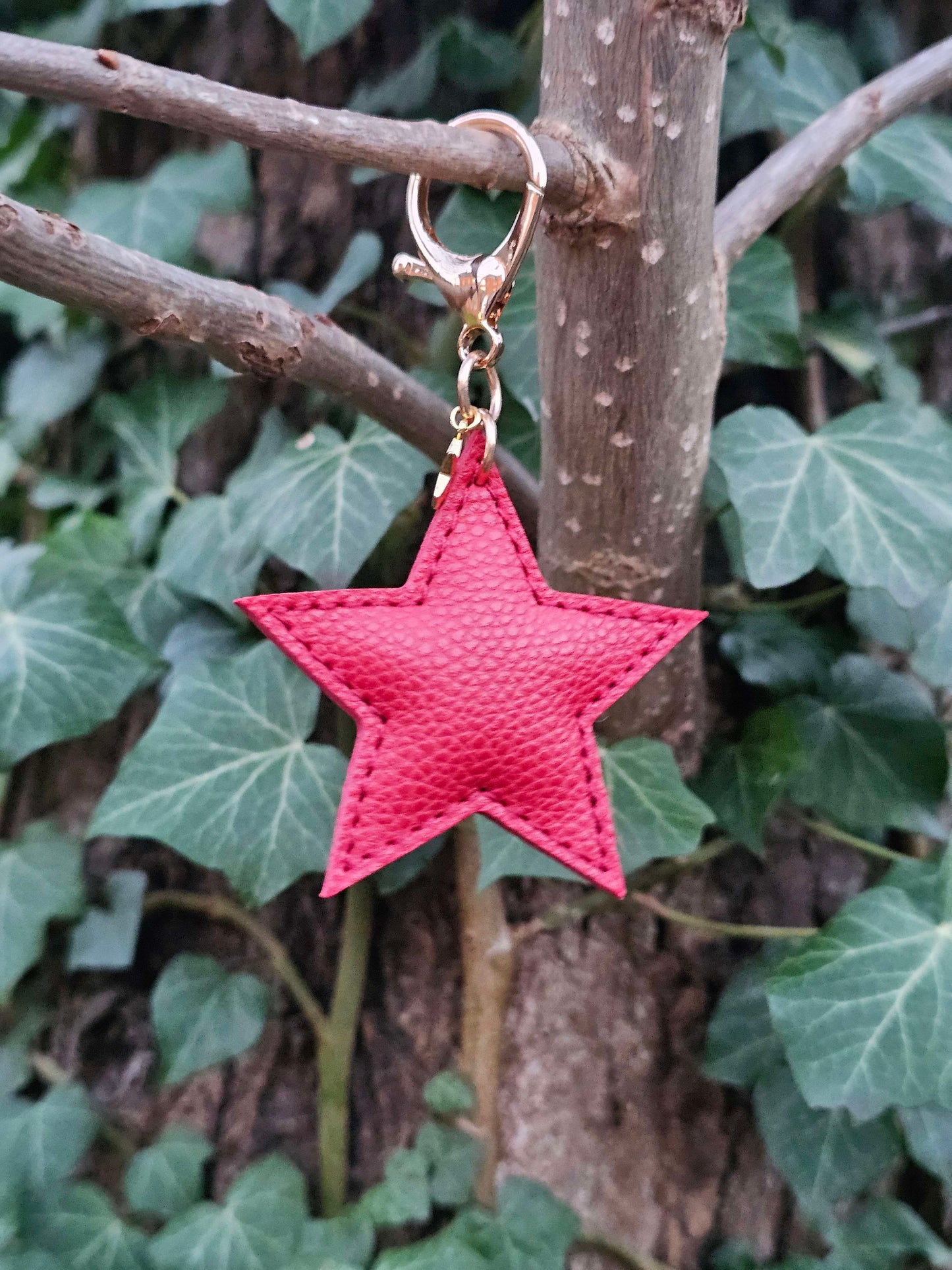 Chilli Red Leather Star Keyring