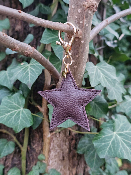 Dark Chocolate Leather Star Keyring